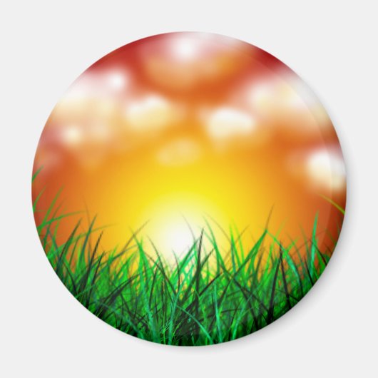 Schöner Sonnenaufgang über einem Grasfeld Magnet (Vorne)