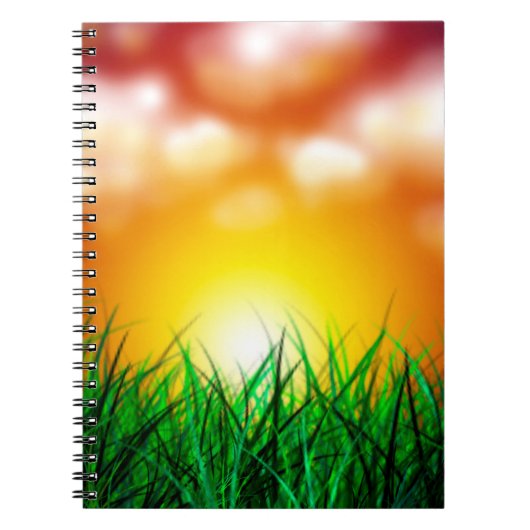 Schöner Sonnenaufgang über einem Grasfeld Notizblock (Vorderseite)