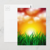 Schöner Sonnenaufgang über einem Grasfeld Postkarte (Vorne/Hinten)