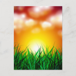 Schöner Sonnenaufgang über einem Grasfeld Postkarte