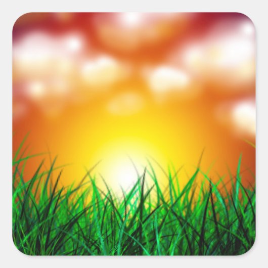 Schöner Sonnenaufgang über einem Grasfeld Quadratischer Aufkleber (Vorderseite)