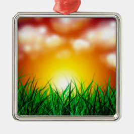 Schöner Sonnenaufgang über einem Grasfeld Silbernes Ornament