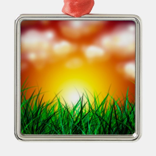 Schöner Sonnenaufgang über einem Grasfeld Silbernes Ornament (Vorne)