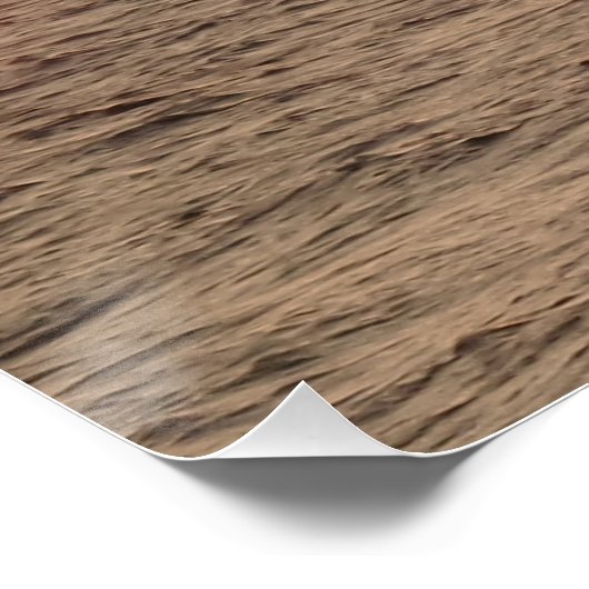 Schöner Sonnenuntergang 20" x 20",Posterpapier,Hal Poster (Ecke)