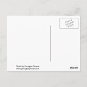 Schöner Sonnenuntergang im Central Park, NYC Postkarte (Rückseite)