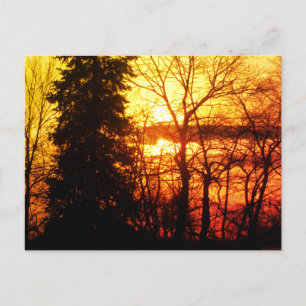 Schöner Sonnenuntergang Kanada Bäume Orange Gold H Postkarte