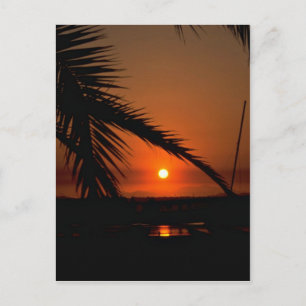 Schöner Sonnenuntergang: Mission Bay, San Diego, K Postkarte