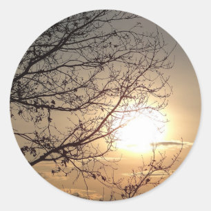 Schöner Sonnenuntergang mit Zweigen Runder Aufkleber