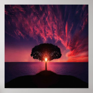 Schöner Sonnenuntergang Poster