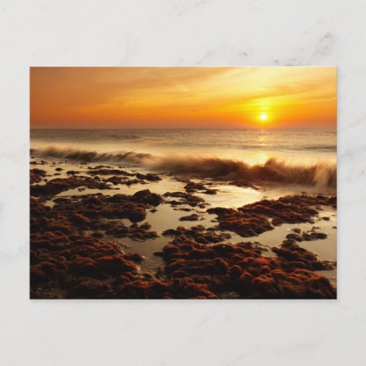 Schöner Sonnenuntergang Postkarte (Vorderseite)
