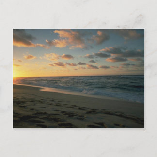 Schöner Sonnenuntergang: Sunset Beach, Oahu, Hawai Postkarte