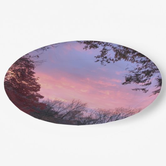 Schöner Sonnenuntergang über Bäumen Pappteller (Schrägansicht)