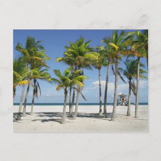 Schöner sonniger Strand Nachmittags Postkarte