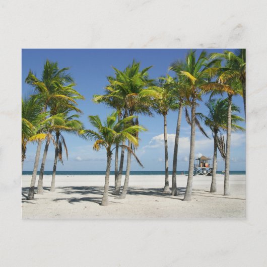 Schöner sonniger Strand Nachmittags Postkarte (Vorderseite)