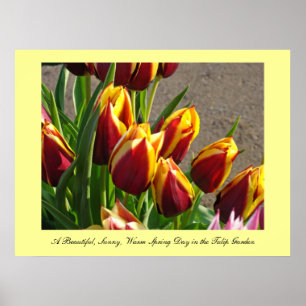 Schöner sonniger warmer Frühlingstag Kunst Tulip-G Poster
