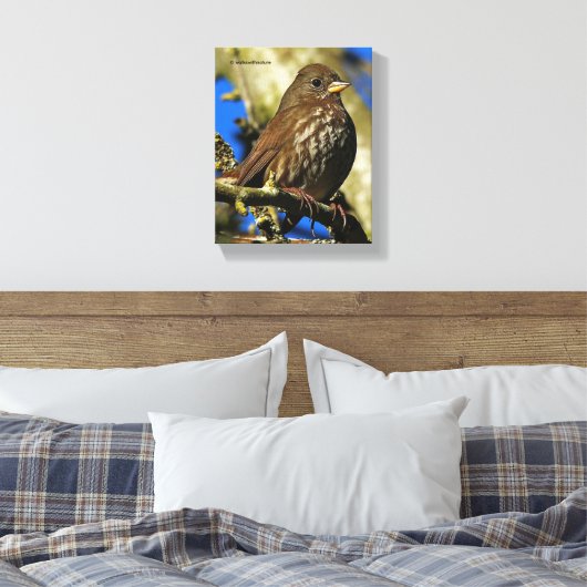 Schöner Sooty Fox Sparrow in einer Birne Leinwanddruck (Insitu (Schlafzimmer))