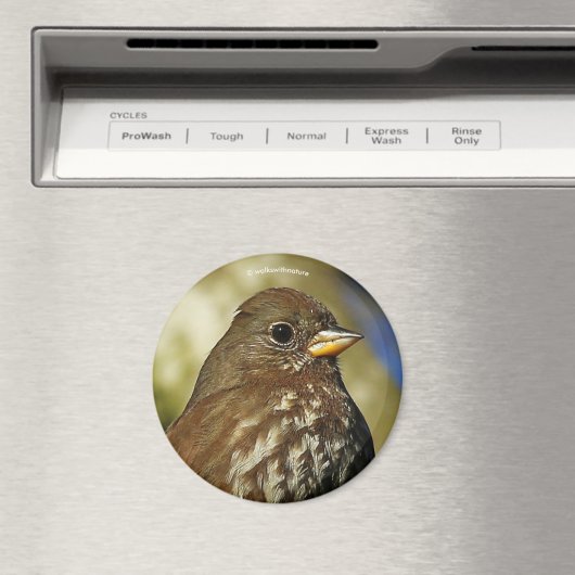 Schöner Sooty Fox Sparrow in einer Birne Magnet (In Situ (Geschirrspüler))