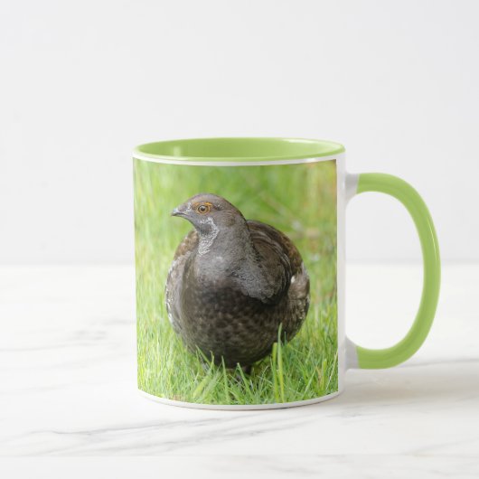 Schöner Sooty Grouse Gamebird im Gras Tasse (Rechts)