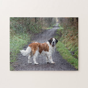 Schöner St. Bernard Hund Puzzle