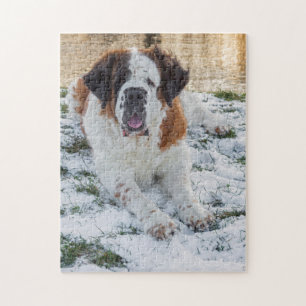 Schöner St. Bernard Hund Puzzle