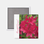 Schöner Staat Blume Georgia~ Azalea Magnet (Vorderseite/Rückseite)