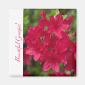 Schöner Staat Blume Georgia~ Azalea Magnet (Vorne)