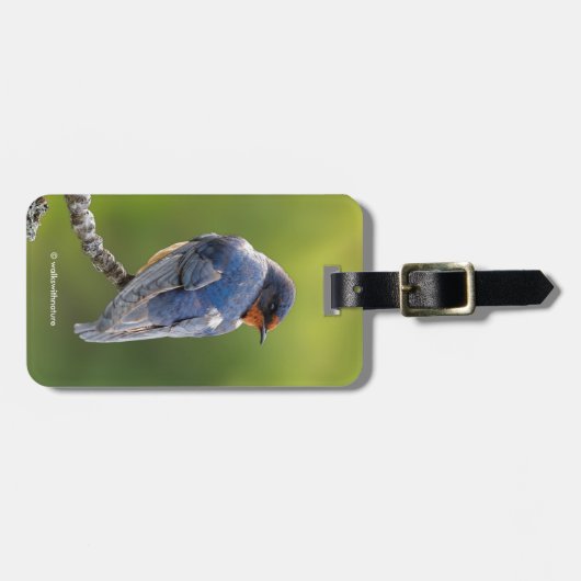 Schöner Stall Schlucken an einer Zweigstelle Gepäckanhänger (Vorderseite horizontal)