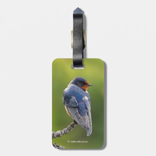 Schöner Stall Schlucken an einer Zweigstelle Gepäckanhänger (Rückseite vertikal)