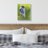 Schöner Stall Schlucken an einer Zweigstelle Leinwanddruck (Insitu (Schlafzimmer))