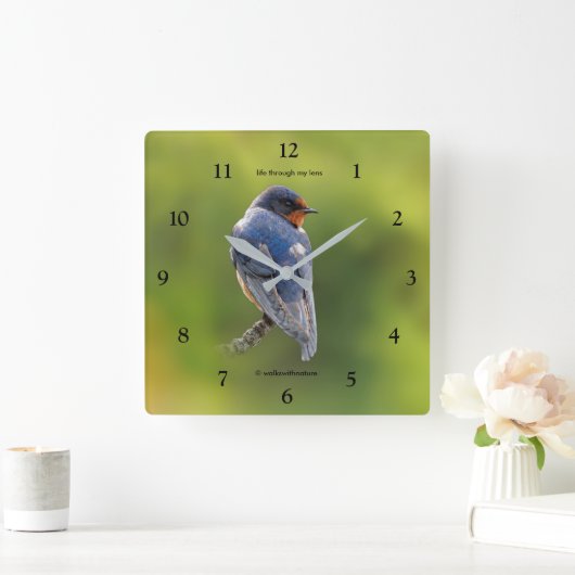 Schöner Stall Swallow Songbird am Zweig Quadratische Wanduhr (Zuhause)
