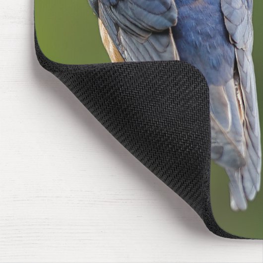 Schöner Stall Swallow Songbird an einer Abzweigung Mousepad (Ecke)
