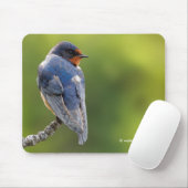 Schöner Stall Swallow Songbird an einer Abzweigung Mousepad (Mit Mouse)