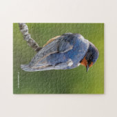 Schöner Stall Swallow Songbird an einer Abzweigung Puzzle (Horizontal)