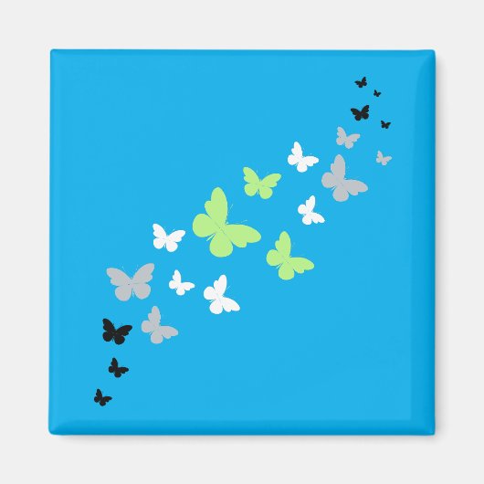 Schöner Stolz der Schmetterlingsagentur Magnet (Vorne)