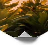 Schöner Strand der Malediven Poster (Ecke)