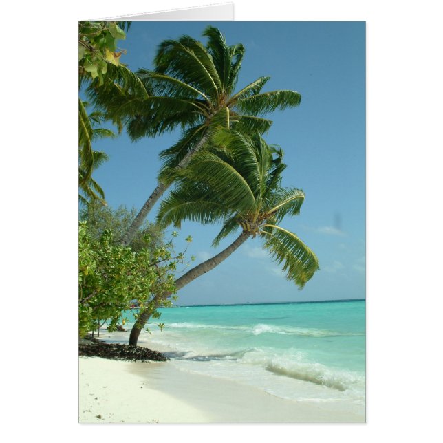 Schöner Strand, Malediven (Vorne)