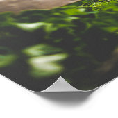 Schöner Strand Poster (Ecke)