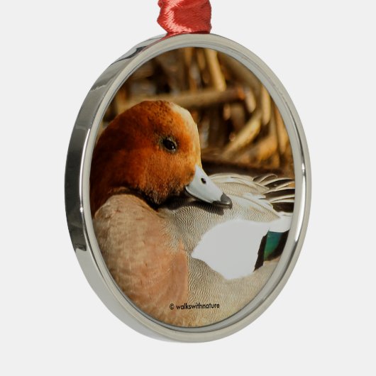 Schöner Stranger in der Eurasian Wigeon Duck Ornament Aus Metall (Rechts)