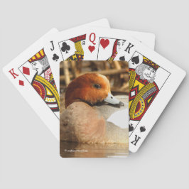 Schöner Stranger in der Eurasian Wigeon Duck Spielkarten