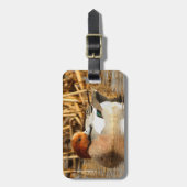 Schöner Stranger in der Stadt Eurasian Wigeon Gepäckanhänger (Vorderseite vertikal)