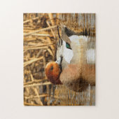 Schöner Stranger in der Stadt Eurasian Wigeon Puzzle (Vertikal)