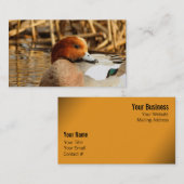 Schöner Stranger in der Stadt Eurasian Wigeon Visitenkarte (Vorne/Hinten)