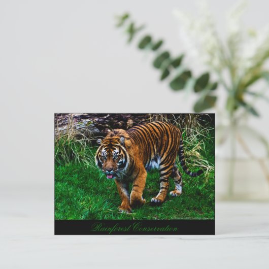Schöner Sumatran Tiger Postkarte (Stehend Vorderseite)