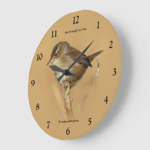 Schöner Sumpfzaunkönig Singvogel auf Ast Große Wanduhr