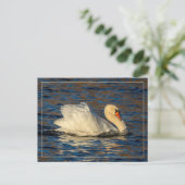 Schöner Swan und Blue Water Postcard Postkarte (Stehend Vorderseite)