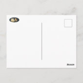 Schöner Swan und Blue Water Postcard Postkarte (Rückseite)