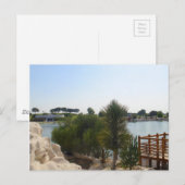 schöner Tag am Teich Postkarte (Vorne/Hinten)