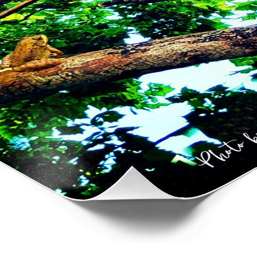 Schöner Tag - Baum - Land - Leben Poster (Ecke)