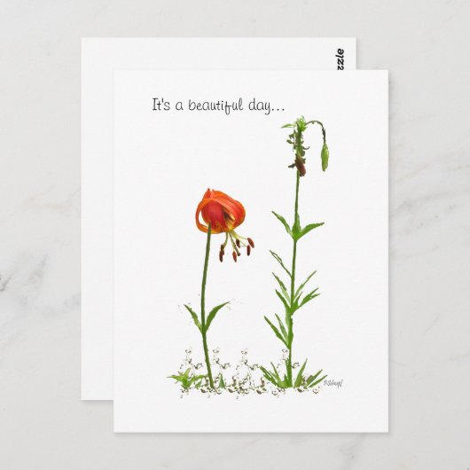 Schöner Tag... Postkarte (Vorne/Hinten)