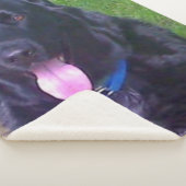 Schöner Tag Sherpadecke (3/4)